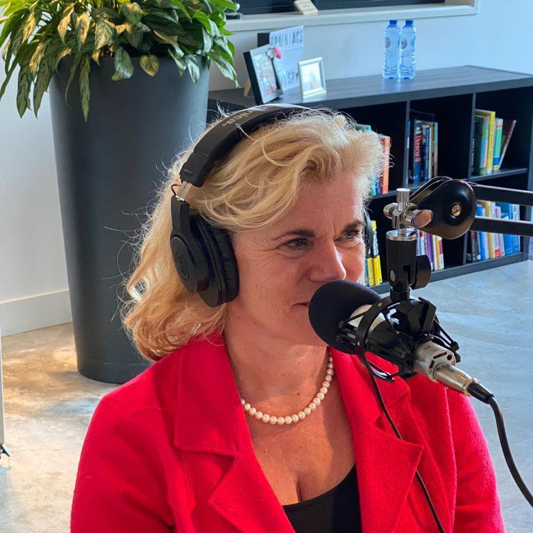 Omslagfoto van Breinwerk - Het geheugen met Ria van Dinteren en Ilona Boomsma