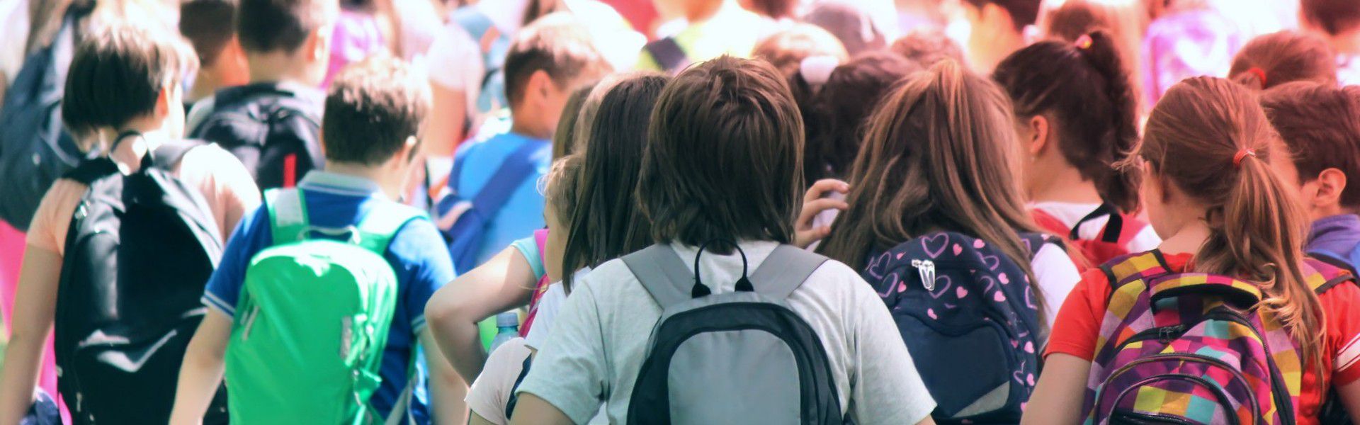 Burgerschapsonderwijs (2) – De kern van burgerschapsonderwijs